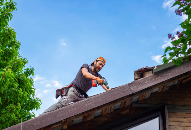 Best Skylight Installation and Repair  in Alexandria, VA