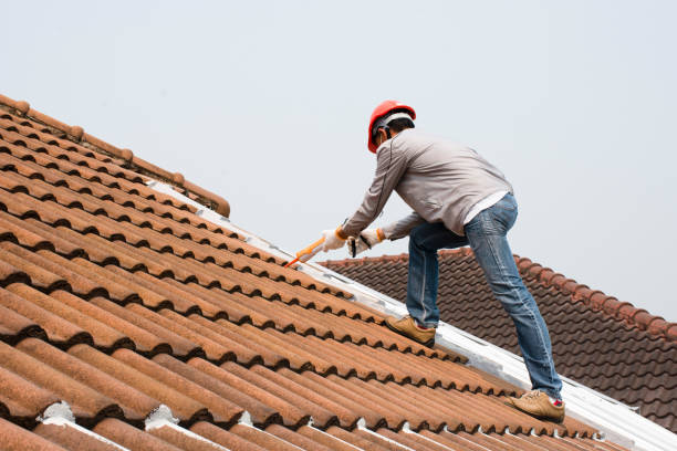 Trusted Alexandria, VA  Roofing repair and installation Experts