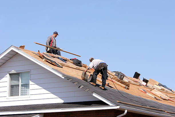 Best Roof Leak Repair  in Alexandria, VA