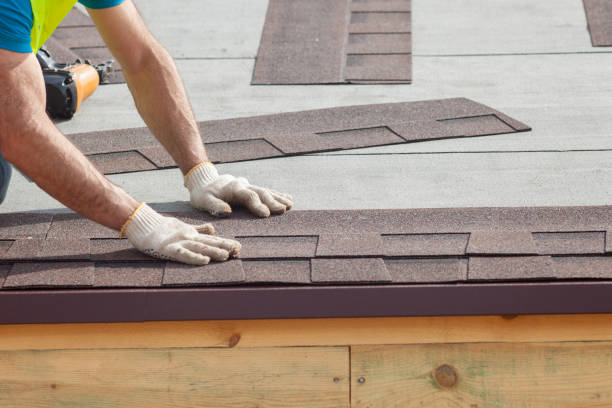 Best Roof Maintenance and Cleaning  in Alexandria, VA