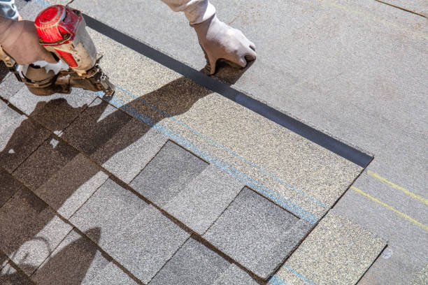 Best Roof Ventilation Installation  in Alexandria, VA